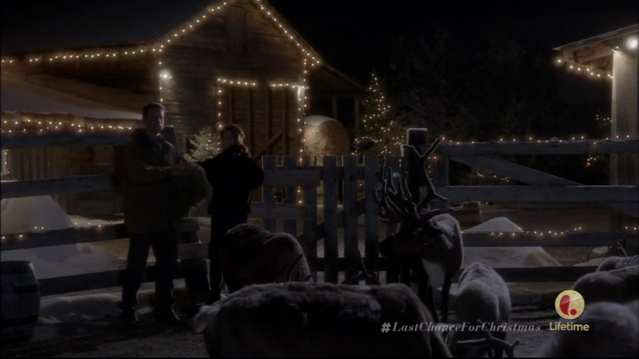 hbd_lastchanceforchristmas_267.jpg hbd_lastchanceforchristmas_267.jpg