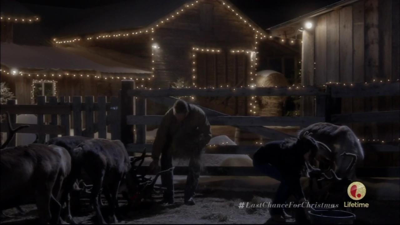 hbd_lastchanceforchristmas_284.jpg hbd_lastchanceforchristmas_284.jpg