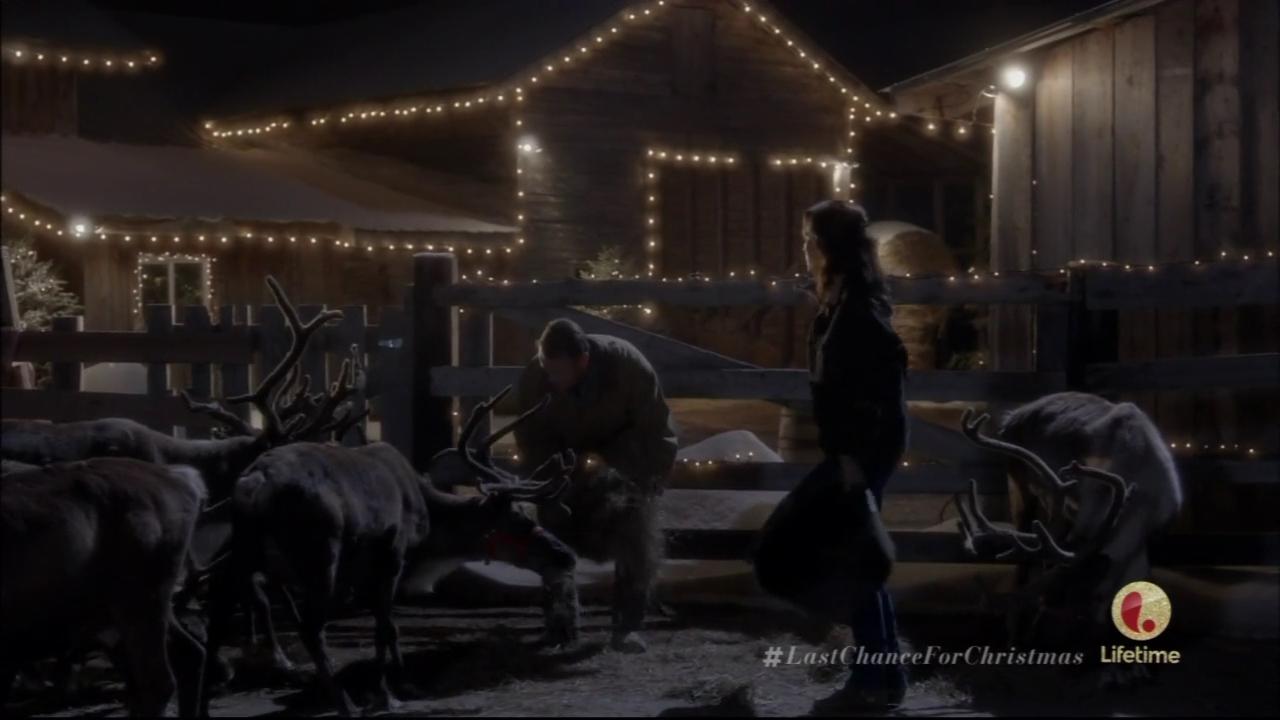 hbd_lastchanceforchristmas_285.jpg hbd_lastchanceforchristmas_285.jpg
