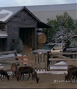 hbd_lastchanceforchristmas_113.jpg